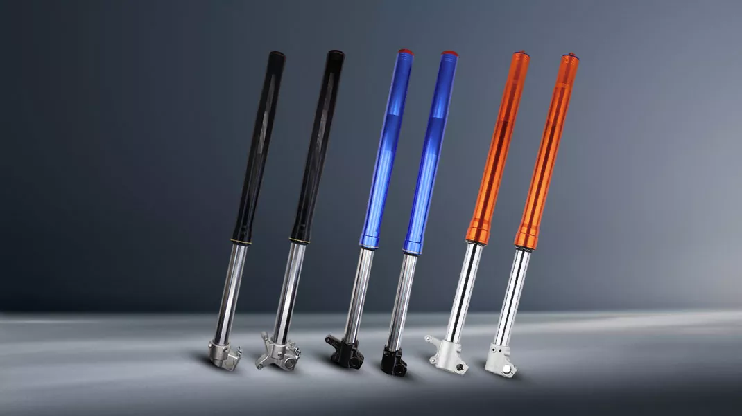 Alderantzizko Aurrealdeko Sardexka