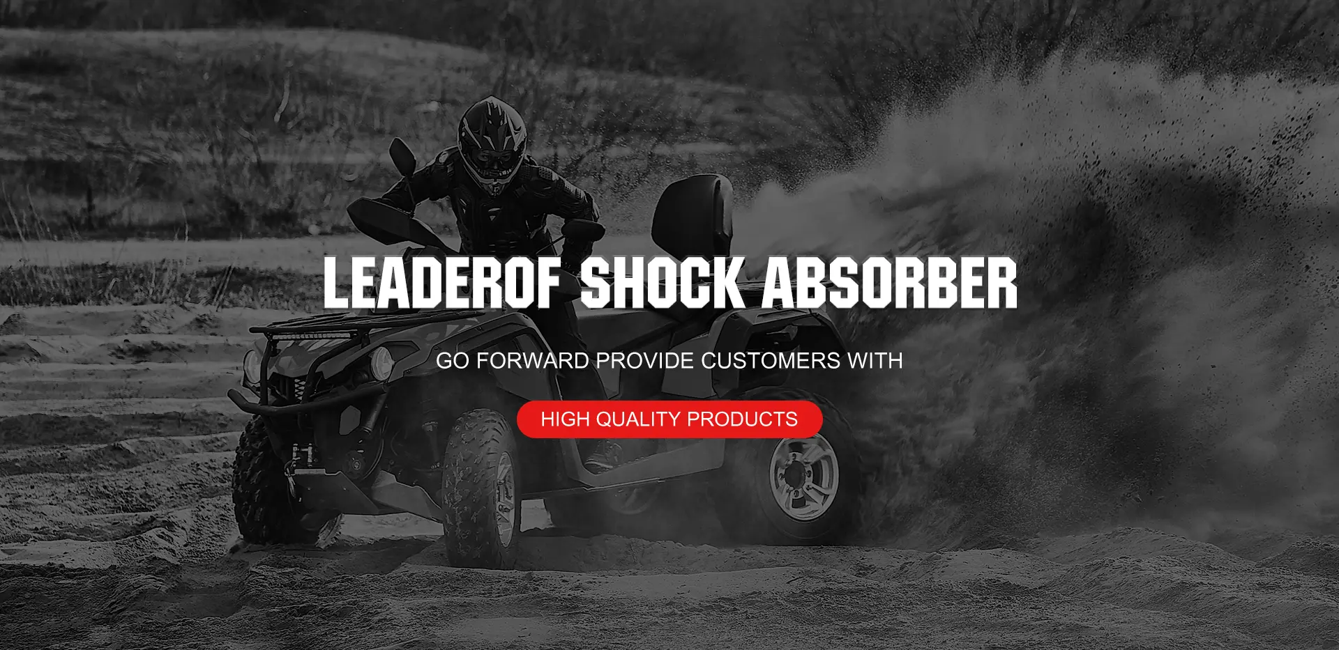 Erregulagarria shock xurgatzaile fabrika bakarra